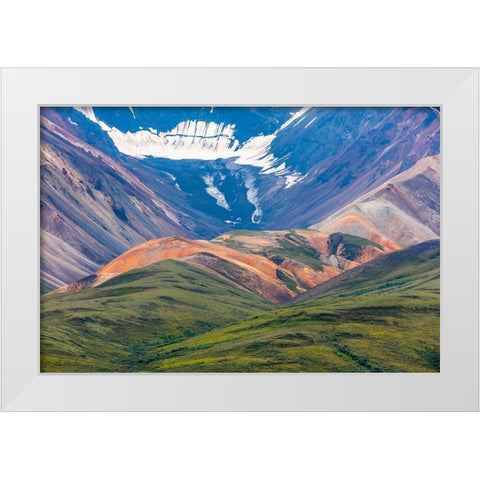 Danali National Park II White Modern Wood Framed Art Print by Mahan, Kathy