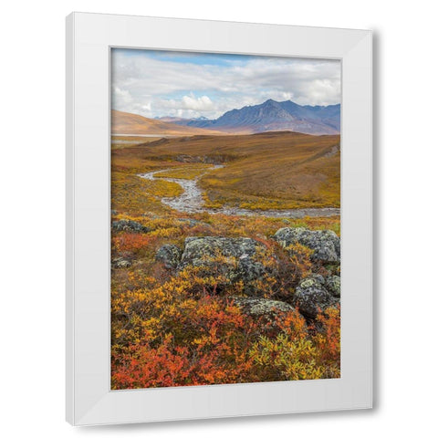 Arctic National Preserve I White Modern Wood Framed Art Print by Mahan, Kathy