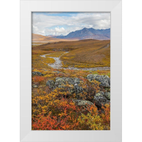 Arctic National Preserve I White Modern Wood Framed Art Print by Mahan, Kathy