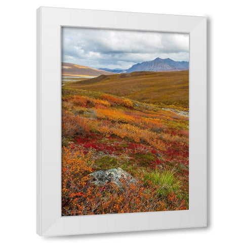 Arctic National Preserve II White Modern Wood Framed Art Print by Mahan, Kathy