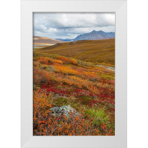 Arctic National Preserve II White Modern Wood Framed Art Print by Mahan, Kathy