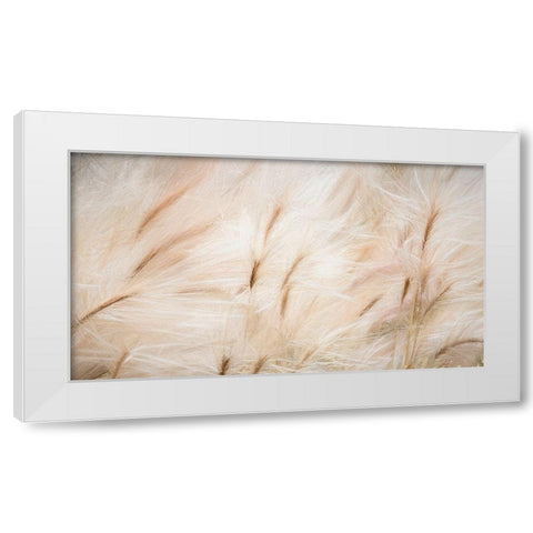 Foxtail Barley IV White Modern Wood Framed Art Print by Mahan, Kathy