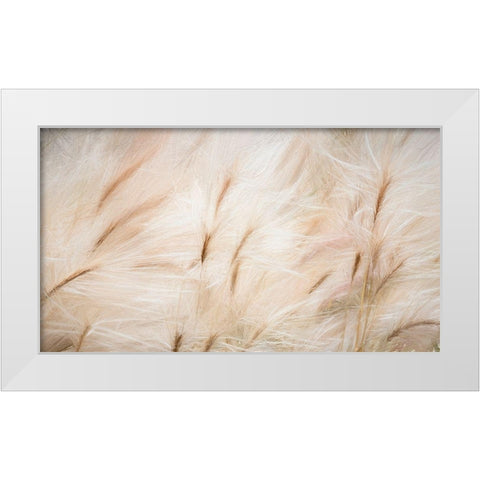 Foxtail Barley IV White Modern Wood Framed Art Print by Mahan, Kathy