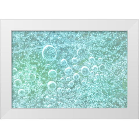 Frozen Bubbles I White Modern Wood Framed Art Print by Mahan, Kathy