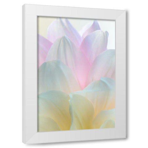 Dahlia Blossom II White Modern Wood Framed Art Print by Mahan, Kathy