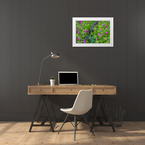 Wildflower Meadow I White Modern Wood Framed Art Print by Mahan, Kathy
