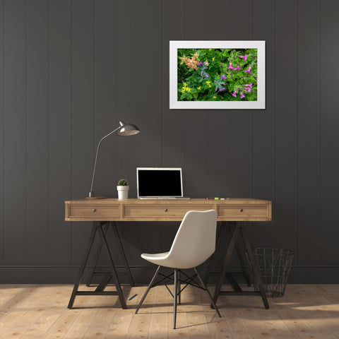 Wildflower Meadow II White Modern Wood Framed Art Print by Mahan, Kathy