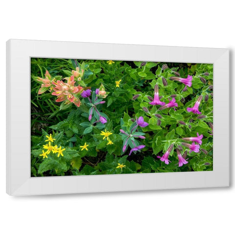 Wildflower Meadow II White Modern Wood Framed Art Print by Mahan, Kathy