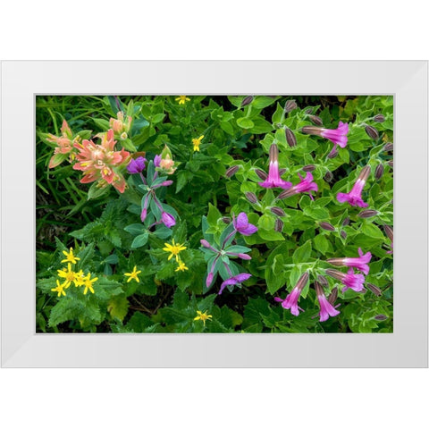 Wildflower Meadow II White Modern Wood Framed Art Print by Mahan, Kathy