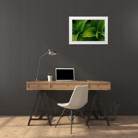 False Hellebore I White Modern Wood Framed Art Print by Mahan, Kathy