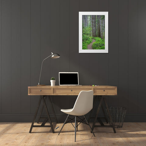 Lewis River Trail White Modern Wood Framed Art Print by Mahan, Kathy