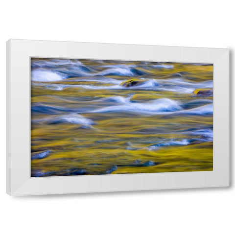 Reflections of Fall I White Modern Wood Framed Art Print by Mahan, Kathy