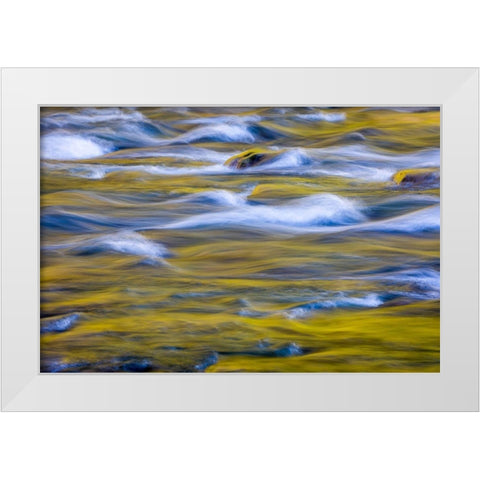 Reflections of Fall I White Modern Wood Framed Art Print by Mahan, Kathy