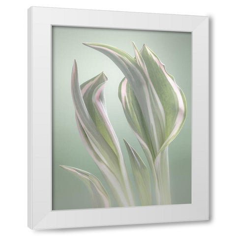 Pale Green Beginning I White Modern Wood Framed Art Print by Mahan, Kathy