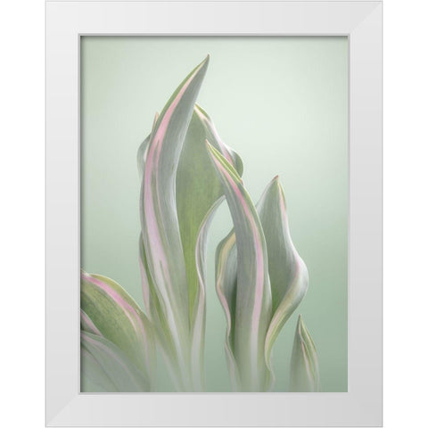 Pale Green Beginning II White Modern Wood Framed Art Print by Mahan, Kathy
