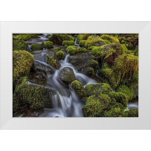 Cedar Creek Detail I White Modern Wood Framed Art Print by Mahan, Kathy