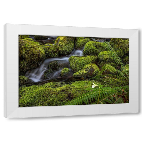 Cedar Creek Detail II White Modern Wood Framed Art Print by Mahan, Kathy