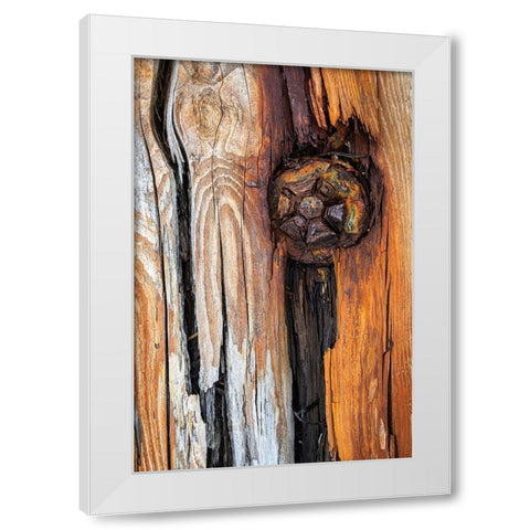 Wood Details I White Modern Wood Framed Art Print by Mahan, Kathy