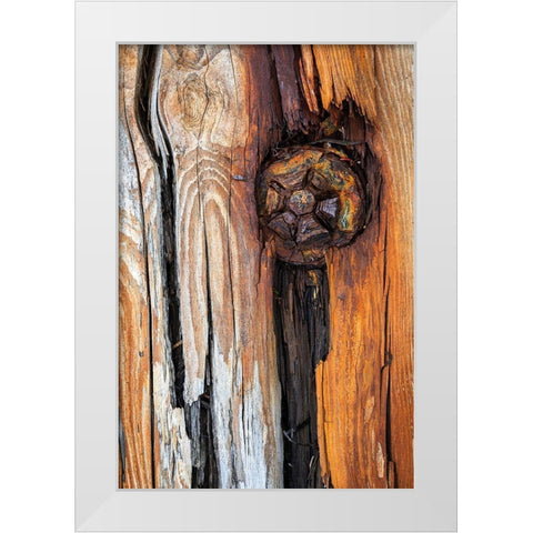 Wood Details I White Modern Wood Framed Art Print by Mahan, Kathy