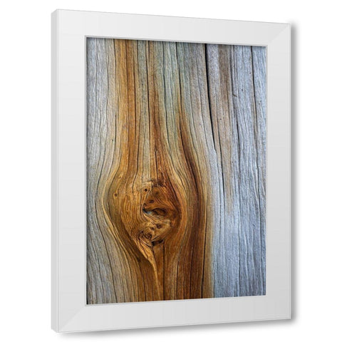 Wood Details III White Modern Wood Framed Art Print by Mahan, Kathy