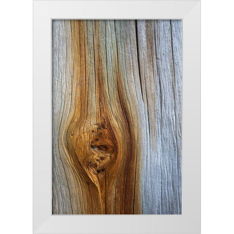 Wood Details III White Modern Wood Framed Art Print by Mahan, Kathy