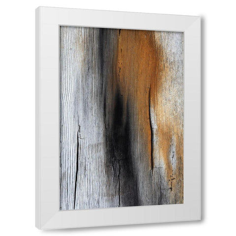 Wood Details IV White Modern Wood Framed Art Print by Mahan, Kathy