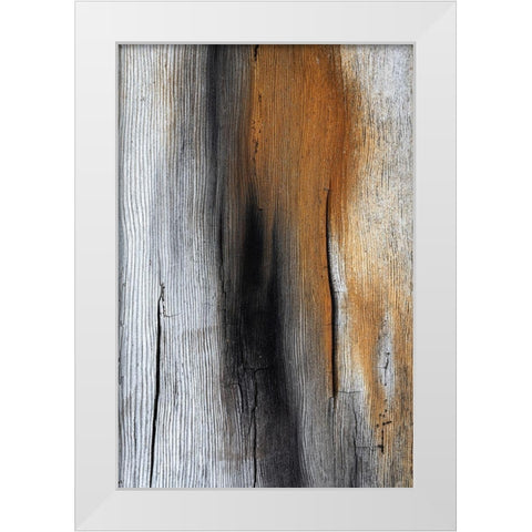 Wood Details IV White Modern Wood Framed Art Print by Mahan, Kathy