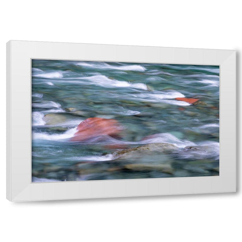 NF Skokomish River II White Modern Wood Framed Art Print by Mahan, Kathy