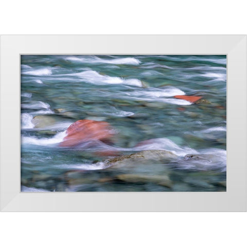 NF Skokomish River II White Modern Wood Framed Art Print by Mahan, Kathy