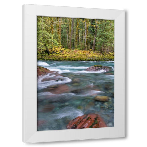 NF Skokomish River IV White Modern Wood Framed Art Print by Mahan, Kathy