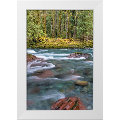 NF Skokomish River IV White Modern Wood Framed Art Print by Mahan, Kathy