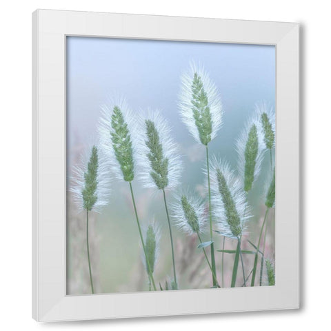 Going to Seed II White Modern Wood Framed Art Print by Mahan, Kathy