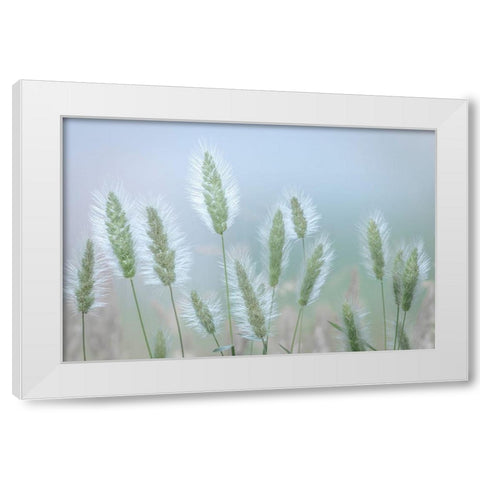 Going to Seed IV White Modern Wood Framed Art Print by Mahan, Kathy