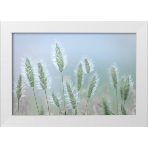 Going to Seed IV White Modern Wood Framed Art Print by Mahan, Kathy