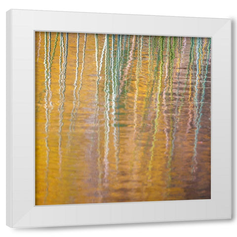 Fall Reflections III White Modern Wood Framed Art Print by Mahan, Kathy