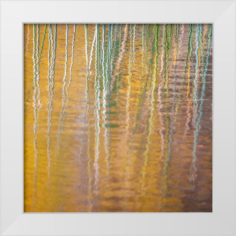 Fall Reflections III White Modern Wood Framed Art Print by Mahan, Kathy