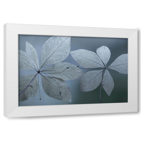 Western Starflower I White Modern Wood Framed Art Print by Mahan, Kathy