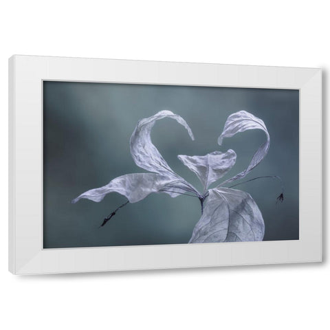 Western Starflower II White Modern Wood Framed Art Print by Mahan, Kathy