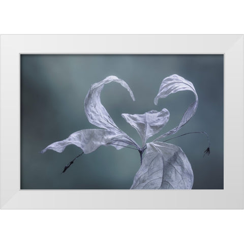 Western Starflower II White Modern Wood Framed Art Print by Mahan, Kathy