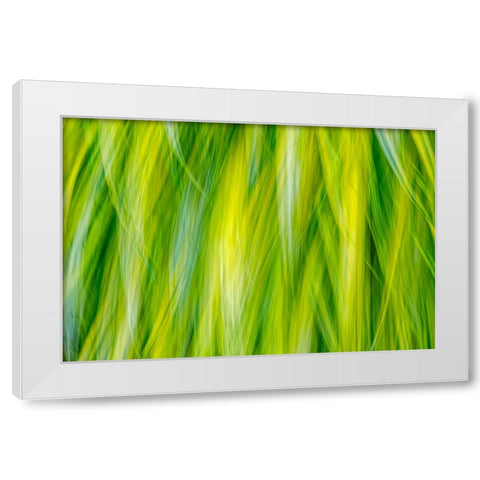 Japanese Forest Grass I White Modern Wood Framed Art Print by Mahan, Kathy