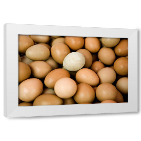 Eggs II White Modern Wood Framed Art Print by Millet, Karyn