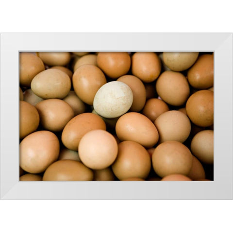 Eggs II White Modern Wood Framed Art Print by Millet, Karyn