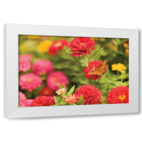 Butterfly Field I White Modern Wood Framed Art Print by Millet, Karyn