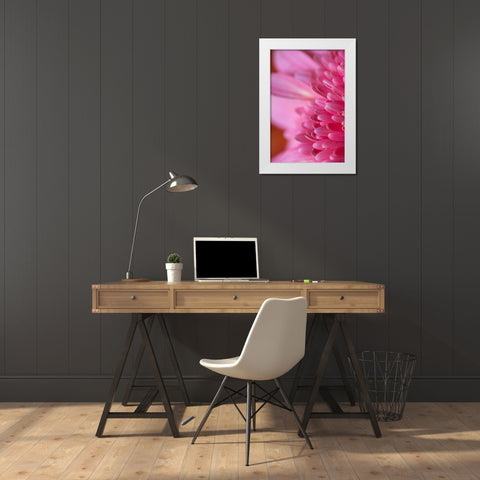 Pink Morning White Modern Wood Framed Art Print by Millet, Karyn