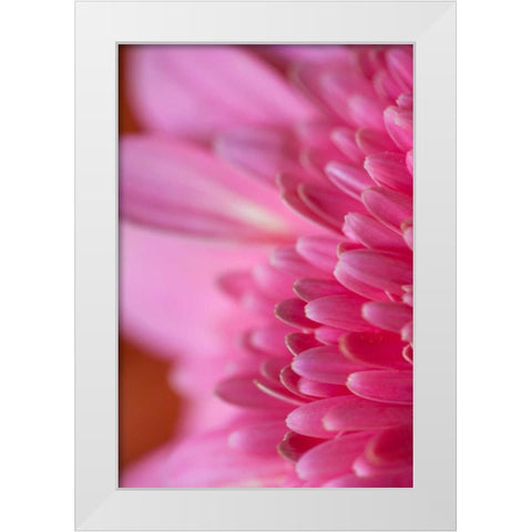 Pink Morning White Modern Wood Framed Art Print by Millet, Karyn