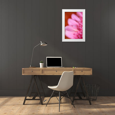 Pink Afternoon White Modern Wood Framed Art Print by Millet, Karyn
