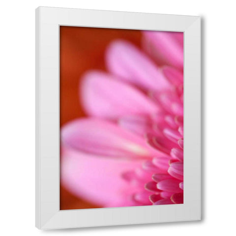 Pink Afternoon White Modern Wood Framed Art Print by Millet, Karyn