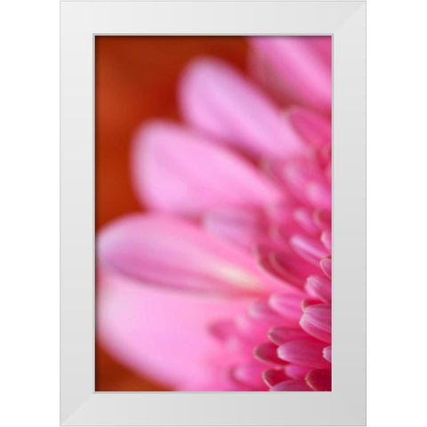 Pink Afternoon White Modern Wood Framed Art Print by Millet, Karyn