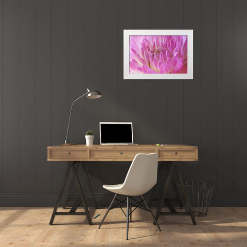 Pink Dahlia White Modern Wood Framed Art Print by Millet, Karyn