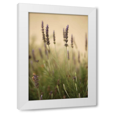 Lavender I White Modern Wood Framed Art Print by Millet, Karyn